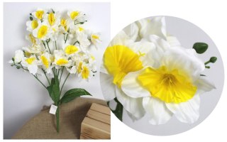 7&7 Bukiet ŻONKIL wys. 62 cm 11 łodyg (33 kwiaty ok. 11 cm) BIAŁY z ŻÓŁTYM ŚRODKIEM KMA-2402A